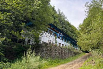 Spatiu Comercial, Comuna Pestisani - 1