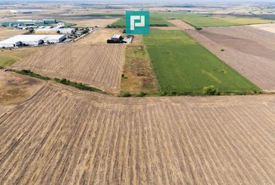 Teren agricol extravilan de 4345 mp, în Freidorf