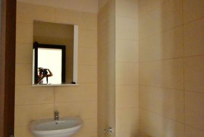 Spatiu de birou de inchiriat in zona Piata Unirii - Eugeniu de Savoya - 5