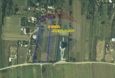 Teren in Magura/Bacau - de vanzare - 4