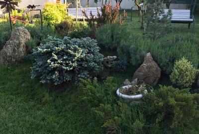 Luxury Residence with Pool and 1000 sqm Garden | Iancu Nicolae - 38