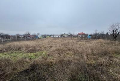 Vanzare Teren Intravilan 1800 mp Tiganasi Acces DJ Iasi-Botosani - 6