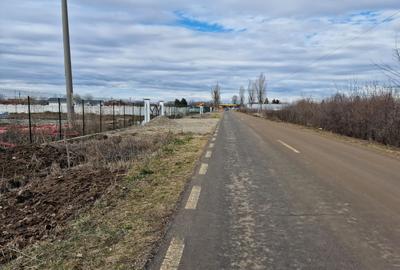 Ciolpani adiacent  DN1  teren  12800 mp  parcelabil  toate utilitatile - 1