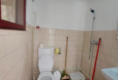 Vanzare 3 case moderne + 3 anexe si 2000 mp teren gradina, pomi in Tuzla la mare - 32