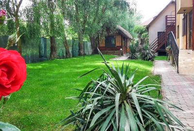 Pensiune, Afacere la cheie in Delta Dunării, Uzlina - 12