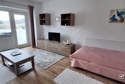 Vanzare apartament 1 camera ultrafinisat, Kaufland Manastur - 2