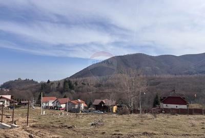 Teren Construcții intravilan de 1697 mp, în Cisnădioara