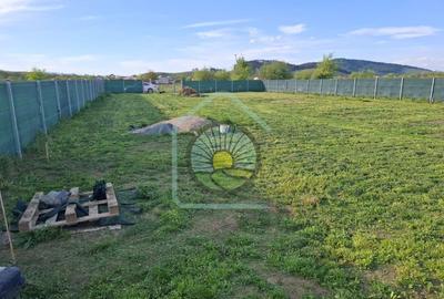 TEREN CONSTRUCTII SANPETRU BRASOV - 11