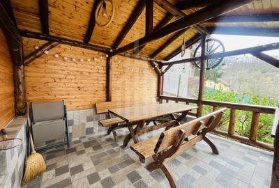 Casă de vacanță în Tocile - 22