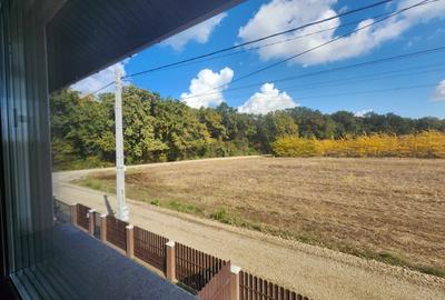 CASA PREMIUM 4 CAMERE, MIROSLAVA-VALEA URSULUI , 120 MP UTILI - 1