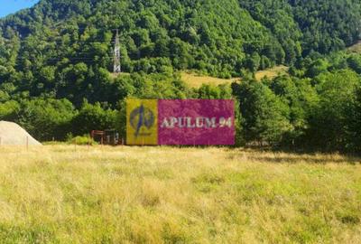 Teren Județul Vâlcea - Brezoi, Valea lui Stan - 21
