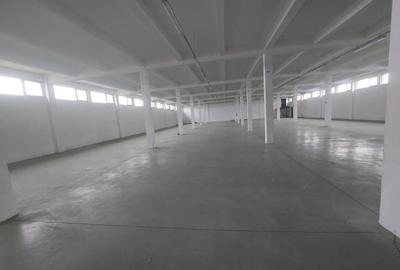 Spațiu industrial, de 1,864.00 mp, în Zona Industrială