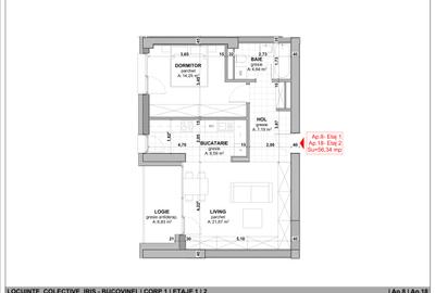Noul Poiect Iris Bucovina .Termen de finalizare 30.03.2027. Dezvoltator. - 29