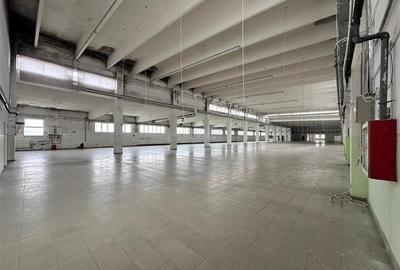 Hala/ spatiu comercial Pascani, 1500mp - 12