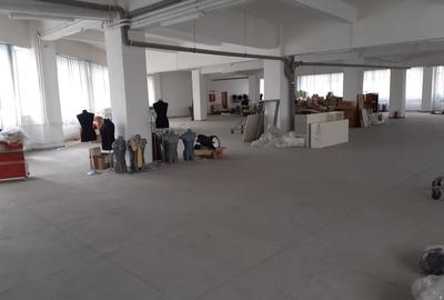 Spațiu industrial, în Vitan