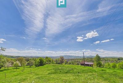 Proprietate rară cu 24.270 mp, în Măgulicea, Arad! - 24