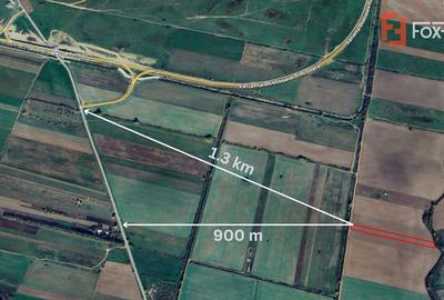 Teren extravilan arabil 4.803 mp - aproape de centura Timisoara Sud - 2
