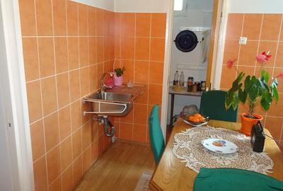 Vand apartament cu 2 camere in Deva, zona Titu Maiorescu,parter inalt, - 4