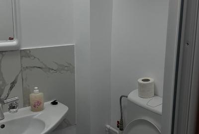 Grasoniera Micro39A et1/4 ,grup sanitar,Renovata si Mobilata Modern 30000 euro - 6