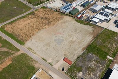Teren 10.000 mp Domnești - Centura București - Betonare și împrejmuire - 2