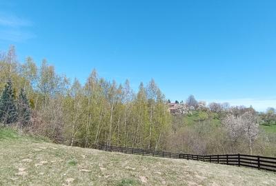 Teren intravilan cu priveliste frumoasa-Predelut - 6