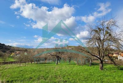 EXCLUSIVITATE! Teren intravilan de vanzare in zona linistita, sat Vlaha! - 1