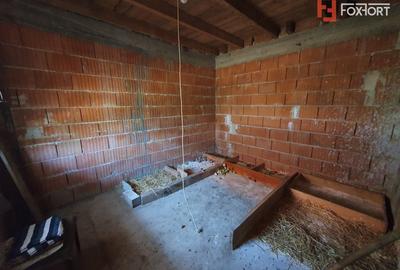 COMISION 0% Duplex la Rosu, Peciu Nou - Total de 231 mp utili, teren 1000 mp - 25