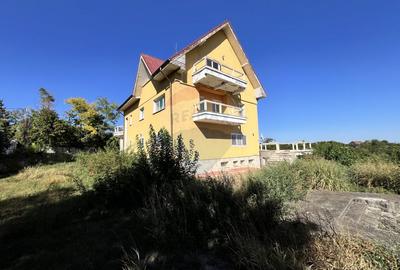 Casa cu potential imens in Sat Lilieci, pe Aleea Florilor - langa raul - 37