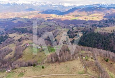 Teren de vanzare Sirnea- Comision 0% - 12