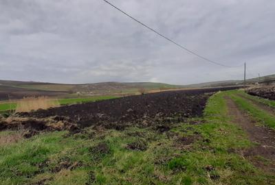 Teren agricol pentru investitii, zona Valea Calda -Iris - 5