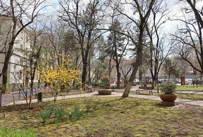 Apartament cu 2 camere decomandat, mobilat în Brâncoveanu