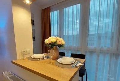 Garsonieră semidecomandată, mobilată în Astra