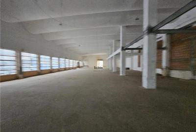 Spațiu comercial, de 350 mp, în Vest