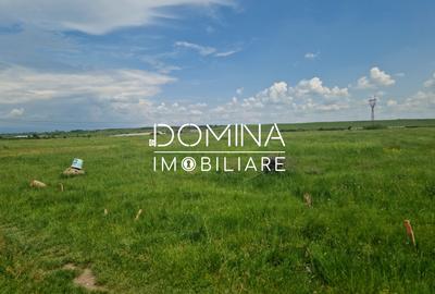 Vânzare teren extravilan, suprafață 7.000 mp, situat în Tg Jiu, str. Ciocârlau - 6