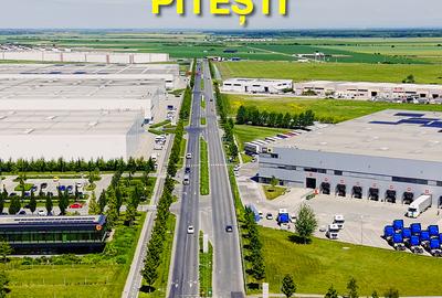 Teren 30 Hectare la Autostrada A1 București–Pitești | Km 34 | Front 550 ml - 13