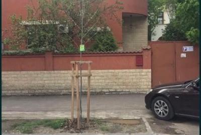 Vilă elegantă de vânzare | Cotroceni – zonă exclusivistă - 2