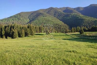 Teren PIATRA FANTANELE - 11.800 mp- ideal investitie, pensiune, hotel - 3