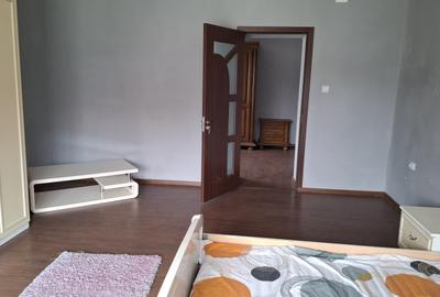 Casa 3 camere  recent renovata in Nadlac - 7