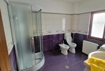 Vindem proprietate in orasul Frasin, Bucsoaia - Bucovina - 4