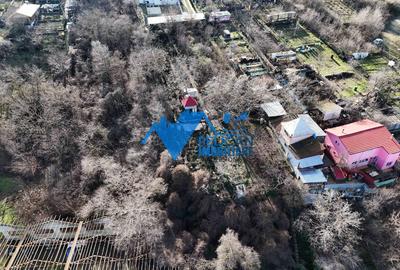 Teren intravilan BIDIDIA, zona deosebita, 550MP - 7