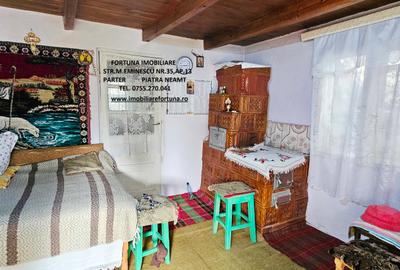 Proprietate Roznov,casa+anexe+teren 3630 mp - 8
