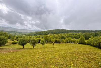 Teren extravilan cu potențial turistic – 5 ha în Josenii Bârgăului - 8