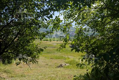 Teren intravilan 4600 mp cu front de 25 m pe strada Odobesti - 2