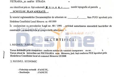 Teren intravilan 8000mp, Comuna Bârnova Iași - 3