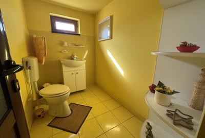 Cladire functiune mixta - Hala productie + locuinta, 400 mp. teren, zona Tunari - 20