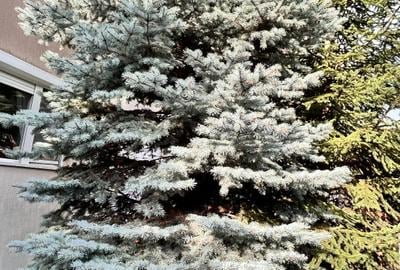 Otopeni Grivita - Duplex cu 4 dormitoare, 3 bai + Terasa si  Balcon + Garaj - 1