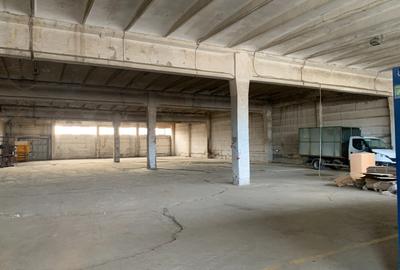 Calea Sagului, Hala industriala cu acces tir - 4
