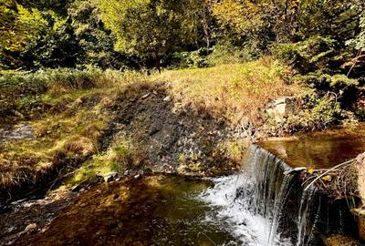 Vila de Vânzare în Cheia, Prahova - Relaxare și Confort într-un Cadru Natural de - 59