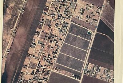 Teren Intravilan Bod Sanpetru - Regina Maria - 1