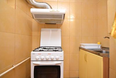 INCHIRIERE APARTAMENT 2 CAMERE TINERETULUI- PARC LUMEA COPIILOR - 18